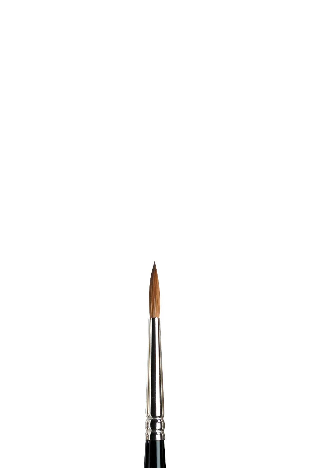 Winsor & Newton - Series 7